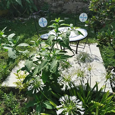 Alojamento de Acomodação e Pequeno-almoço Casa Sao Pedro Only Pilgrims