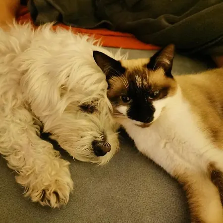 Casa Sao Pedro Only Pilgrims *