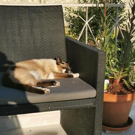 Casa Sao Pedro Only Pilgrims Belinho