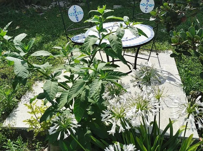 Bed & Breakfast Casa Sao Pedro Only Pilgrims