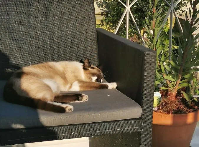 Casa Sao Pedro Only Pilgrims Belinho